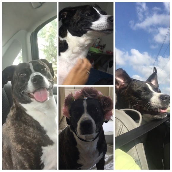 Meet your Posher, Luli&Sharon - Picture 8 of 8